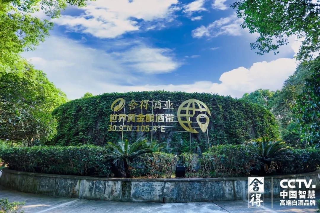 要成就更好的舍得，為什么一定是老酒？