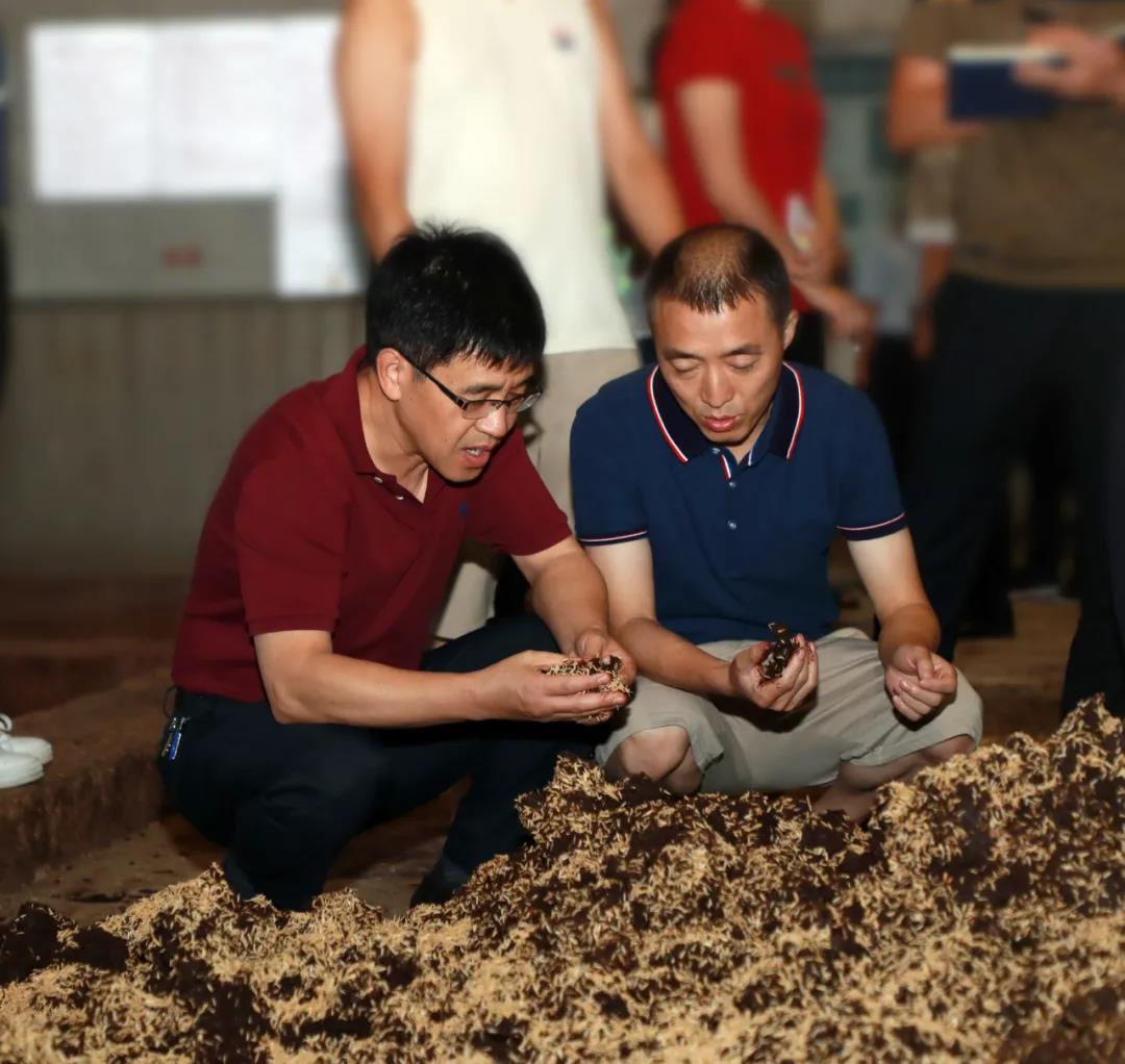 茅臺集團七輪次酒開烤首日高衛(wèi)東、李靜仁赴制酒車間調(diào)研