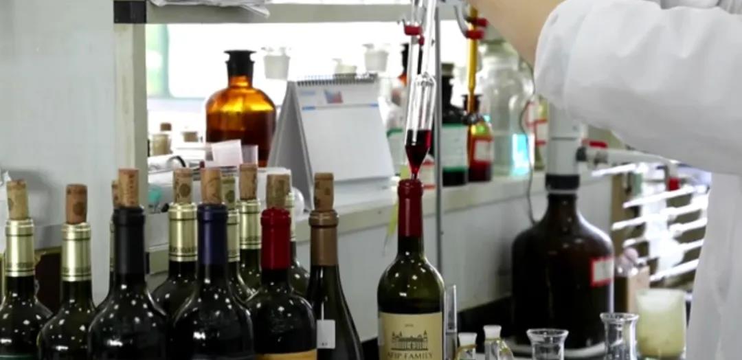 張裕如何下好“葡萄酒首個區(qū)塊鏈平臺”這盤大棋？