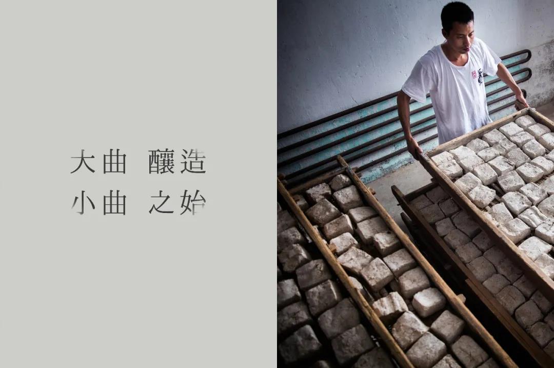 帶您了解董酒的匠心傳承，工藝之美
