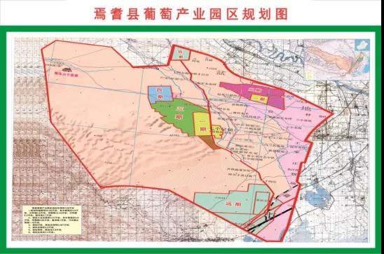 聚焦五大發(fā)展路徑，新疆巴州打造優(yōu)質(zhì)葡萄酒產(chǎn)業(yè)集群