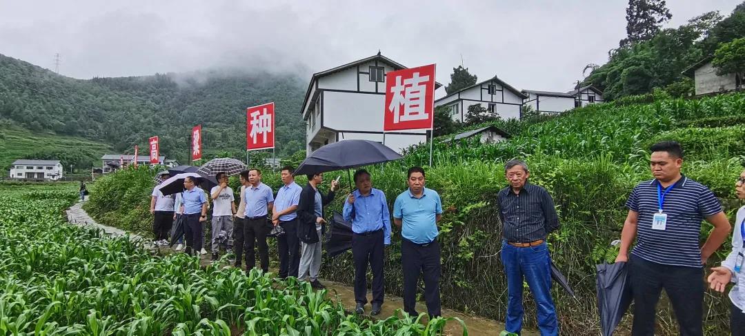 茅臺(tái)所在仁懷酒協(xié)出手，劍指高粱原料關(guān)