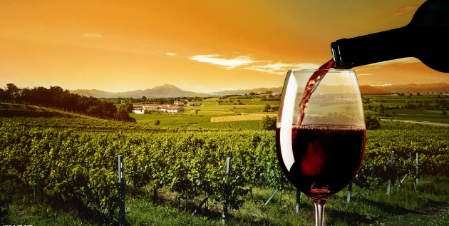 如何長期保存葡萄酒，有哪些方法？