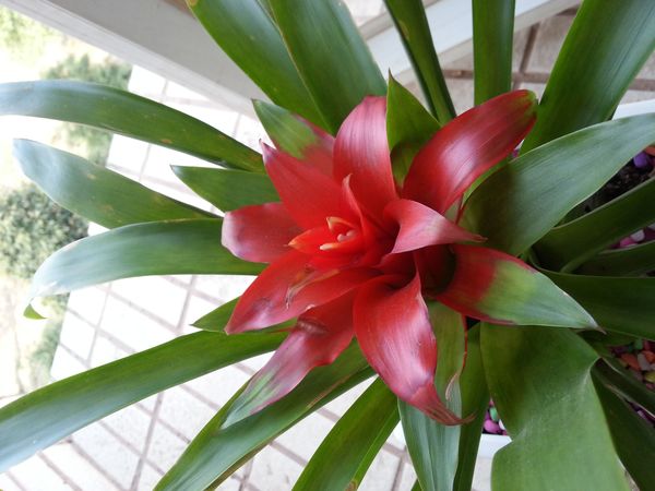 貴人道鴻運(yùn)當(dāng)頭36度價(jià)格表(貴人道鴻運(yùn)到36度價(jià)格)