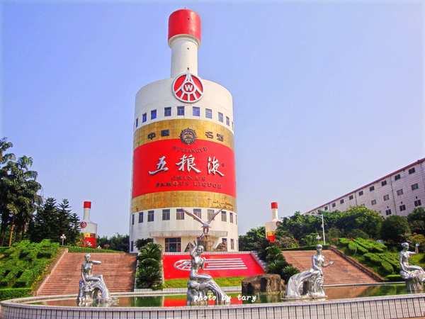 瓶裝五糧液帶上飛機嗎(坐飛機可以帶五糧液嗎)