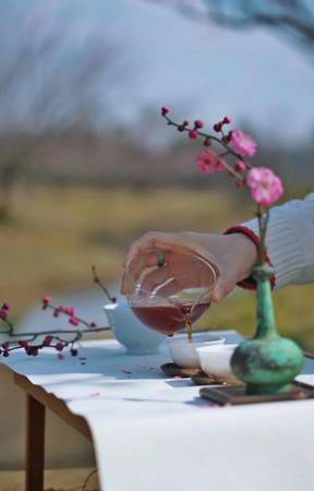 求仙貢39度多少錢(qián)(39度求仙貢酒價(jià)格表)