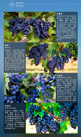 2014年拉菲古堡價(jià)格(拉菲奧希耶古堡多少錢(qián))