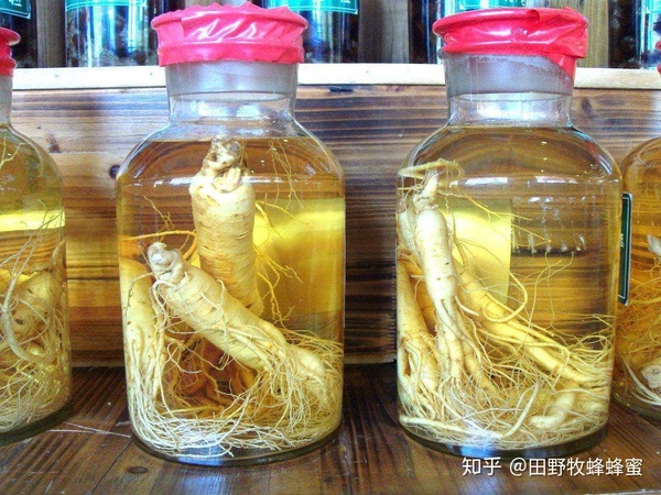 泡人參多久(泡人參需要多長時(shí)間)