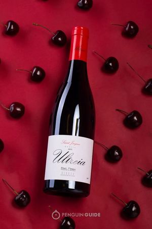 國(guó)寶5年酒價(jià)格多少錢一瓶(國(guó)寶五年酒多少錢一瓶)