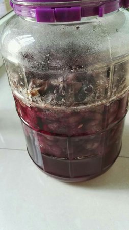 釀葡萄酒其間能經常打開瓶蓋嗎(釀葡萄酒期間可以開蓋嗎)