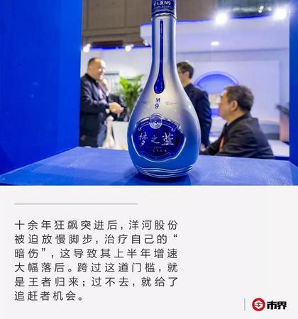 洋河夢之傳奇價(jià)格查詢(洋河夢之仙價(jià)格查詢)